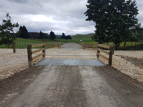 cattle stops Ngakuru Quarry